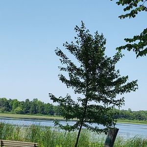 Meet your Posher, Madrid